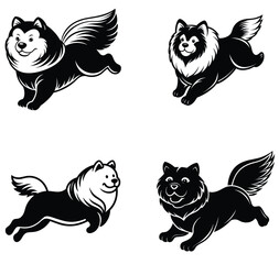 Chow  vector silhouette set 