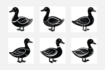 Duck  vector silhouette set 