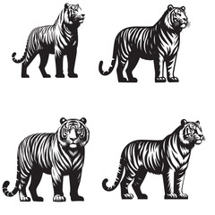 4 sets black of  Tiger Standing silhouette isolated on white background png jpeg eps transparents