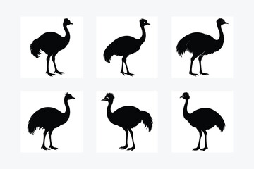 Set of Emu animal black Silhouette Vector