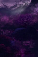 Obraz premium night sky with moon