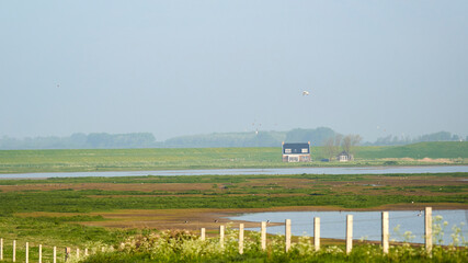Fototapeta premium Landscape of wildlife sanctuary. House in Breton style. Blue sky on a sunny summer day. Netherlands, Oosterschelde, Zeeland.