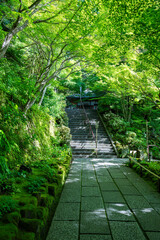 【縦写真】長谷寺の地蔵堂