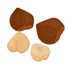 Set of hazelnuts with and without shell, healthy nutritious product for design