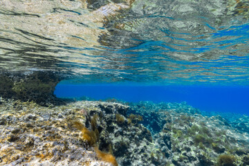 Underwater seascape 