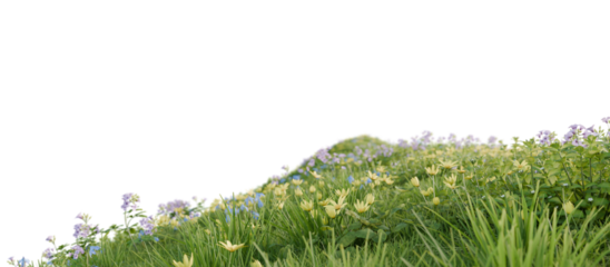 A green hill blooming with yellow and blue flowers in spring. 3D rendering.