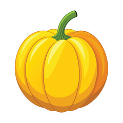 Illustration of yellow pumpkin Isolated