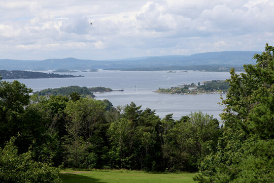 View