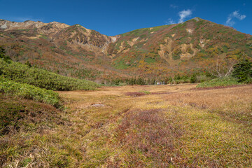秋の栂池を歩く　長野県