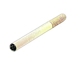 cigar isolated on white