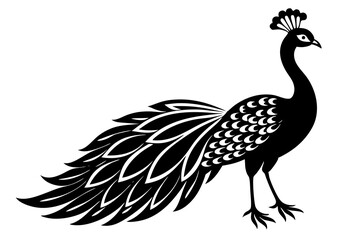 Peacock icon silhouette vector art illustration