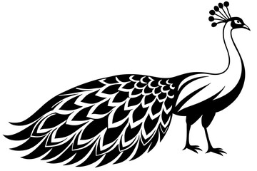 Peacock icon silhouette vector art illustration