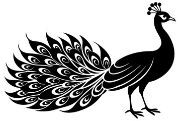 Peacock icon silhouette vector art illustration