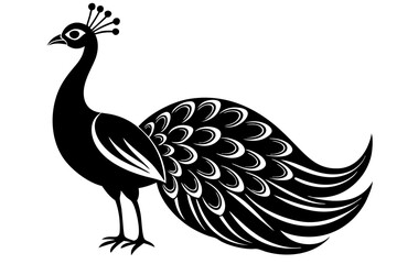 Peacock icon silhouette vector art illustration