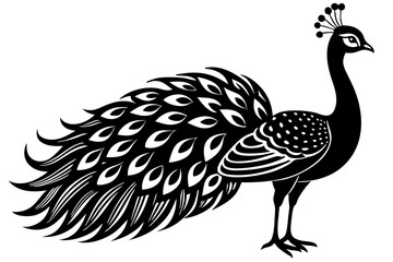 Peacock icon silhouette vector art illustration