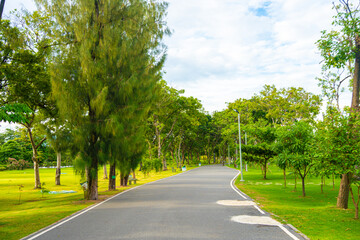 Pathway walk way park green tropical tree forest nature public park
