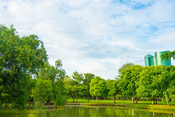 Green city park river tropical forest green tree background