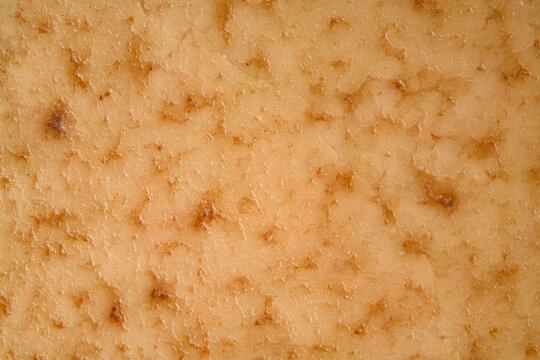 high magnification detail of egg shell