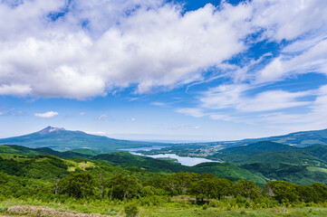 Obraz premium 木地ひき高原