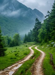 Obraz premium Winding Dirt Road Through a Mountain Forest