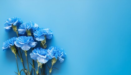 Blue Carnations on Blue Background - Beautiful Flowers on Soft Colored wallpaper - Colored Carnation - Background for Mother's Day, Woman's Day, Valentine's Day or Birthday - Space for Copy or Text