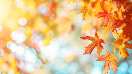 Autumn Theme Web Banner with Red and Yellow Leaves and Bokeh Effect