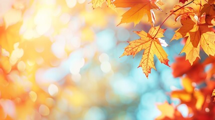 Autumn Theme Web Banner with Red and Yellow Leaves and Bokeh Effect