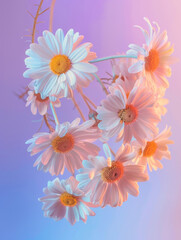 a bunch of camomile flowers in modern composition floating in the air in front of colorful background