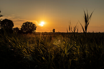 Golden Sunset Over Fields
