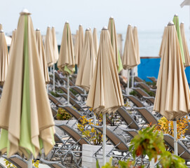 Closed umbrellas on the beach