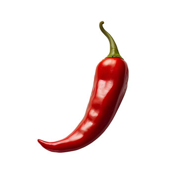 Fresh red chili isolated on transparent background, fresh vegetable 