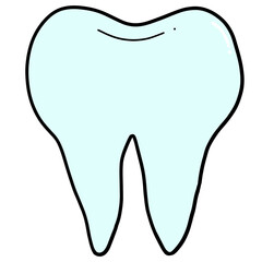Teeth placed on a white background