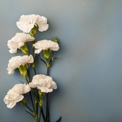 White Carnations on Blue Background - Beautiful Flowers for Spring - Colored Carnation - Background for Mother's Day, Woman's Day, Valentine's Day or Birthday - Space for Copy or Text