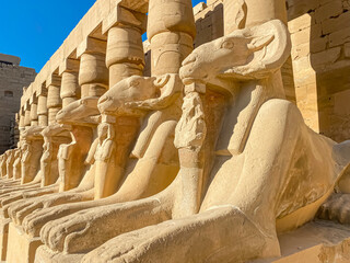 Karnak Temple is dedicated to the temple complex of Ancient Egypt. Thebes, Karnak, Luxor, Egypt