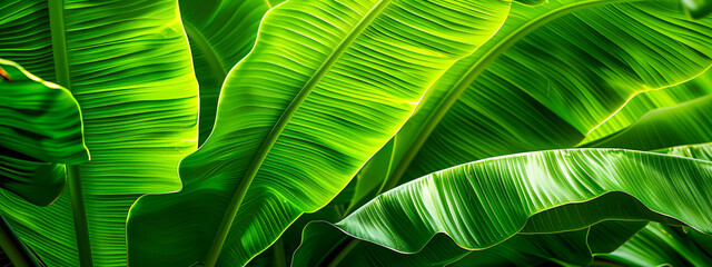 Detailed closeup of fresh green leaves with intricate patterns and vibrant textures