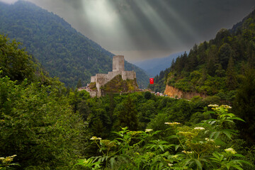 Fototapety na wymiar - Fototapeta24.pl