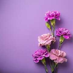 Blue Carnations on Pink Background - Beautiful Flowers for Spring - Colored Carnation - Background for Mother's Day, Woman's Day, Valentine's Day or Birthday - Space for Copy or Text