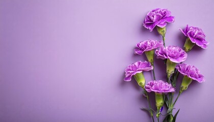 Blue Carnations on Pink Background - Beautiful Flowers for Spring - Colored Carnation - Background for Mother's Day, Woman's Day, Valentine's Day or Birthday - Space for Copy or Text