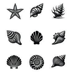Elegant Black and White Silhouette Vector Set of Sea Shells and Starfish – Intricate Nautical Designs for Digital Art, Prints, and More
