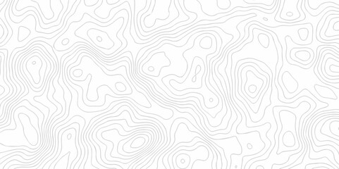 The stylize topography landscape grid map and counter wave line geometric wire outline area design. nature strip diagram topographic creative concept discovery line map texture background.