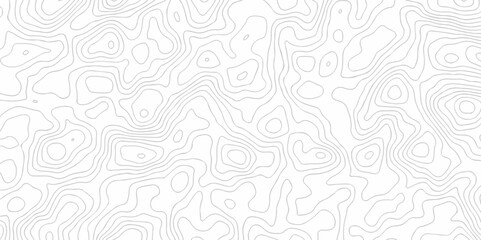 The stylize topography landscape grid map and counter wave line geometric wire outline area design. nature strip diagram topographic creative concept discovery line map texture background.