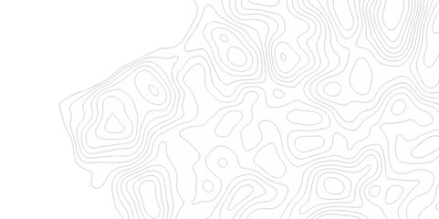 The stylize topography landscape grid map and counter wave line geometric wire outline area design. nature strip diagram topographic creative concept discovery line map texture background.