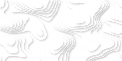 Fototapeta premium Pattern with lines and dots The stylized height of the topographic map contour in lines and contours isolated on transparent. Paper cut white topography contour lines map isolated on white background.