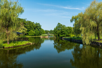 初夏の古河公方公園の風景