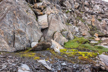 Minimalist scenic mountain landscape with vivid green mosses and grasses among sharp stones and rocks close up. Minimal colorful scenery with grass and moss in high mountains. Beautiful alpine flora.