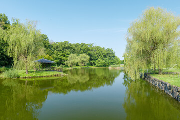 初夏の古河公方公園の風景