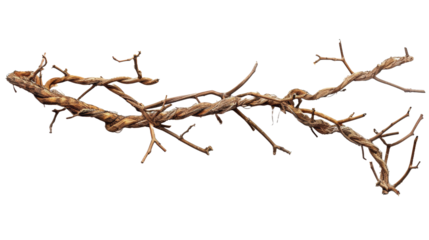  close up of Easter crown of branch on white background.png