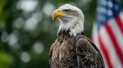Obraz premium Eagle With American Flag