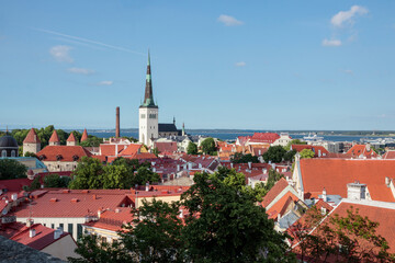Fototapeta premium View of the roofs of the old town of Tallinn in summer, July. Estonia.