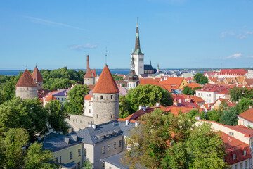 Fototapeta premium View of the roofs of the old town of Tallinn in summer, July. Estonia.